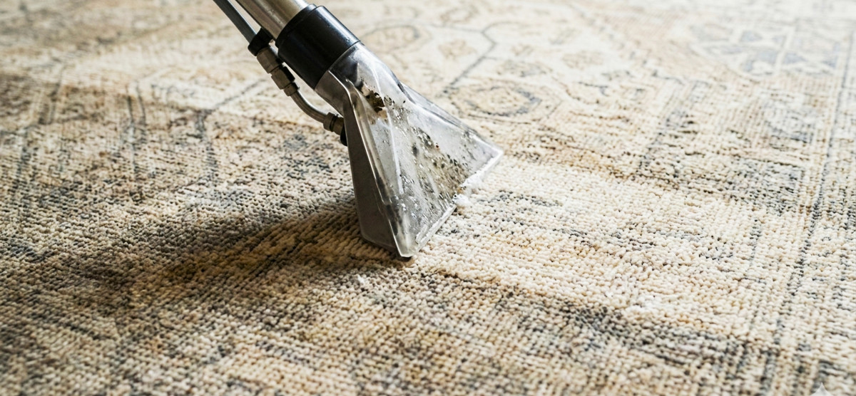 Professional hot water extraction wand cleaning carpet