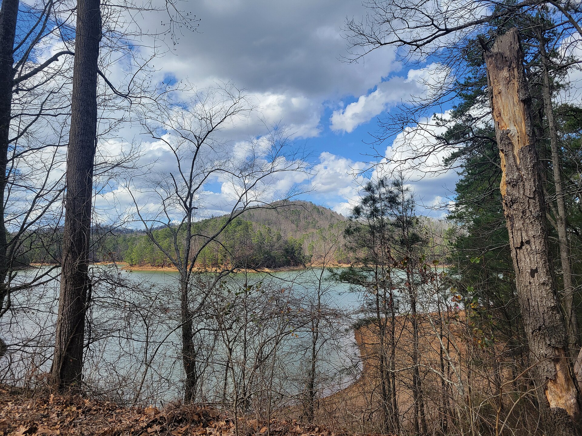 Lake Allatoona near Acworth, Georgia
